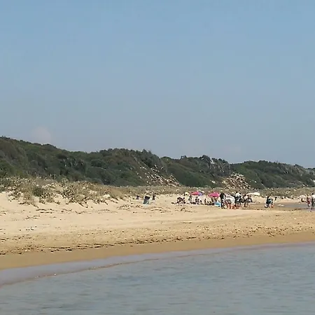 Vigata House Apartman